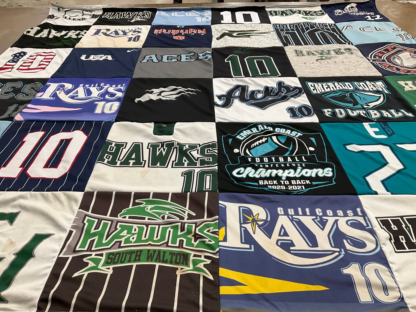 T-shirt quilt featuring hawks, gulf coast rays by Nina from FL