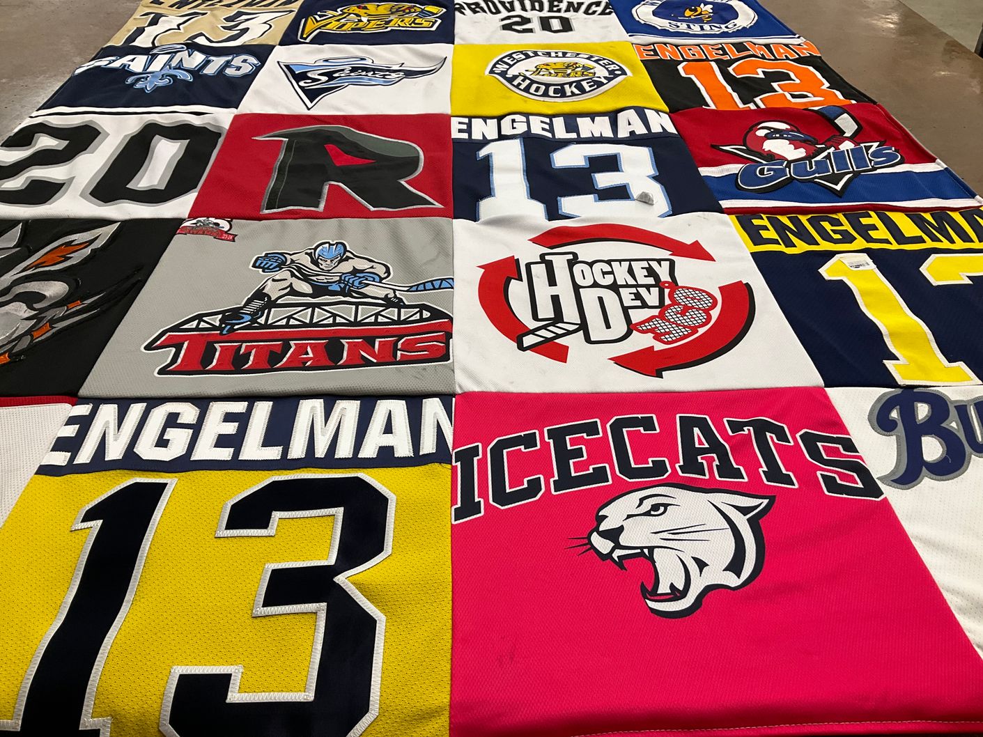 T-shirt quilt featuring titans, gulls by Jennifer from NY