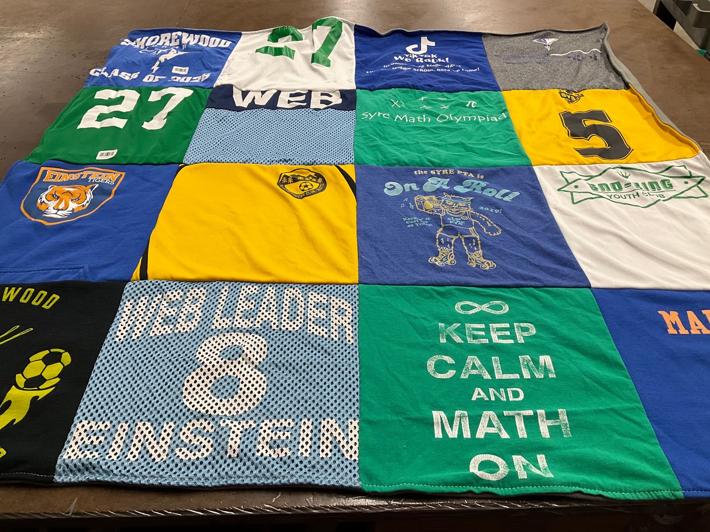 T-shirt quilt featuring einstein tigers by Preeti from WA