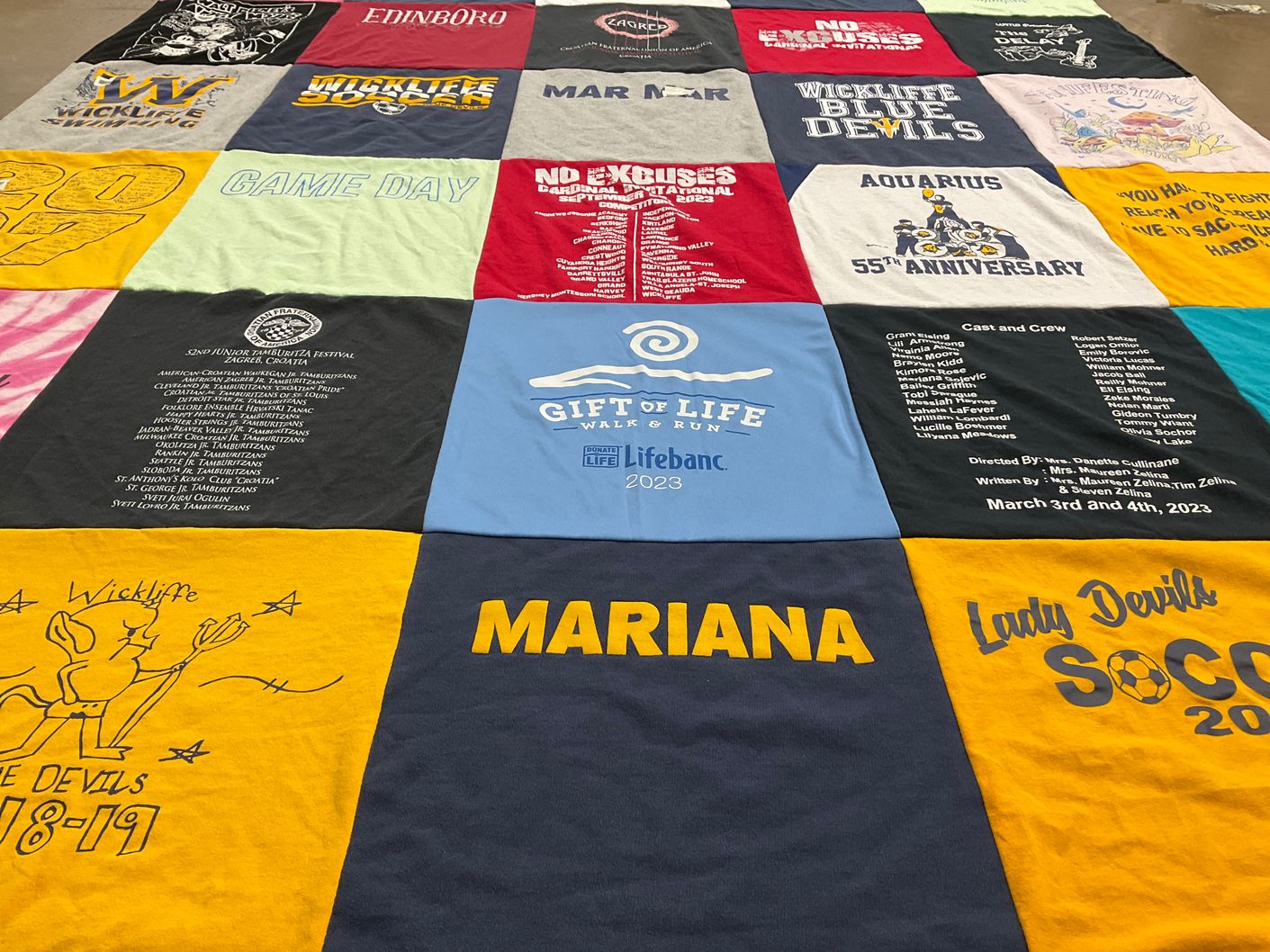 T-shirt quilt featuring wickliffe lady devils by Danijela from OH