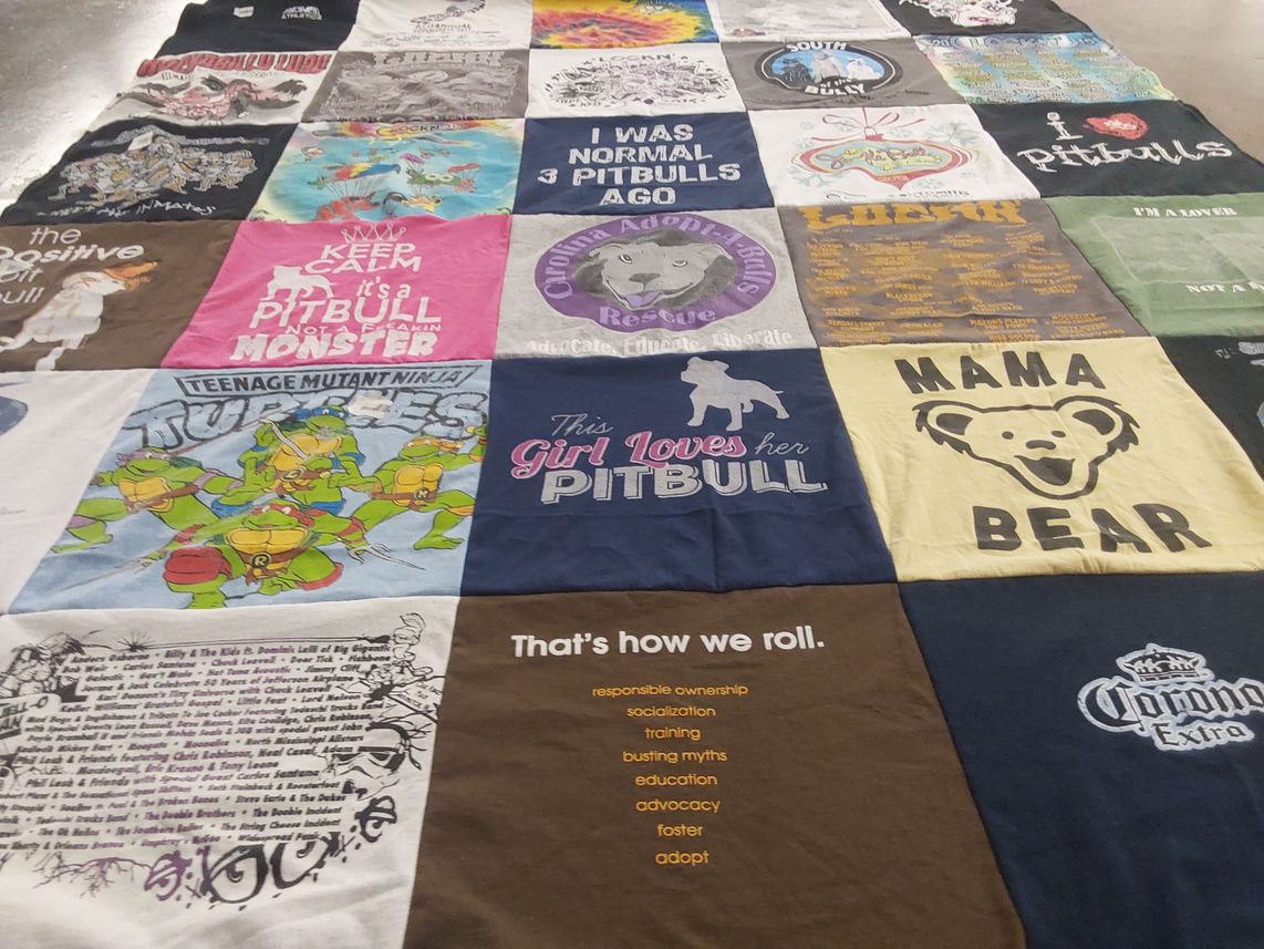 T-shirt quilt with dogs, pet adoption themes by Anne from NC