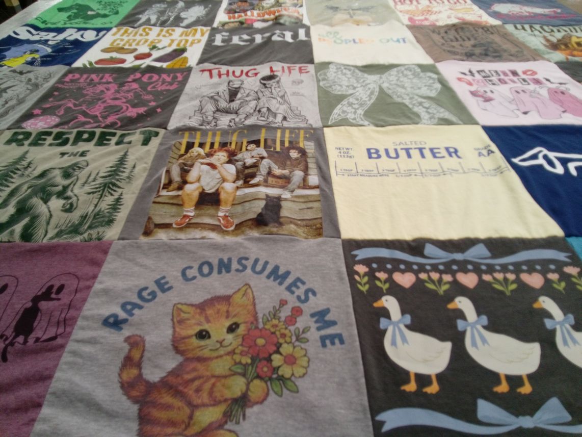 T-shirt quilt with cats, vegetables themes by April from AR