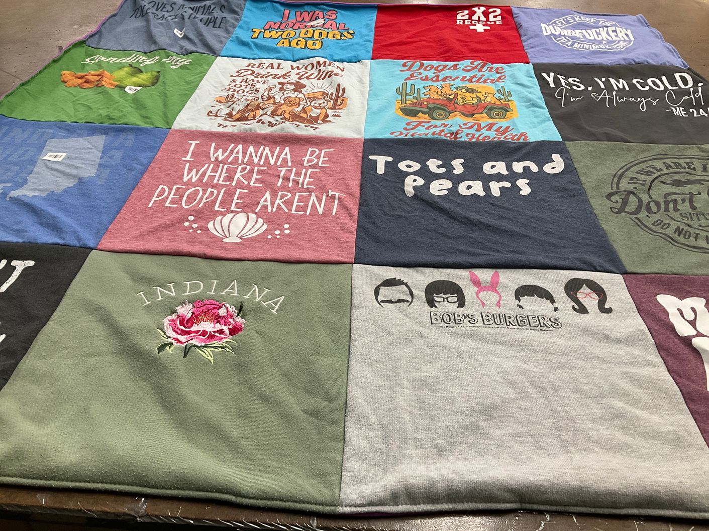 T-shirt quilt with pets, cartoons themes by Pam from IN