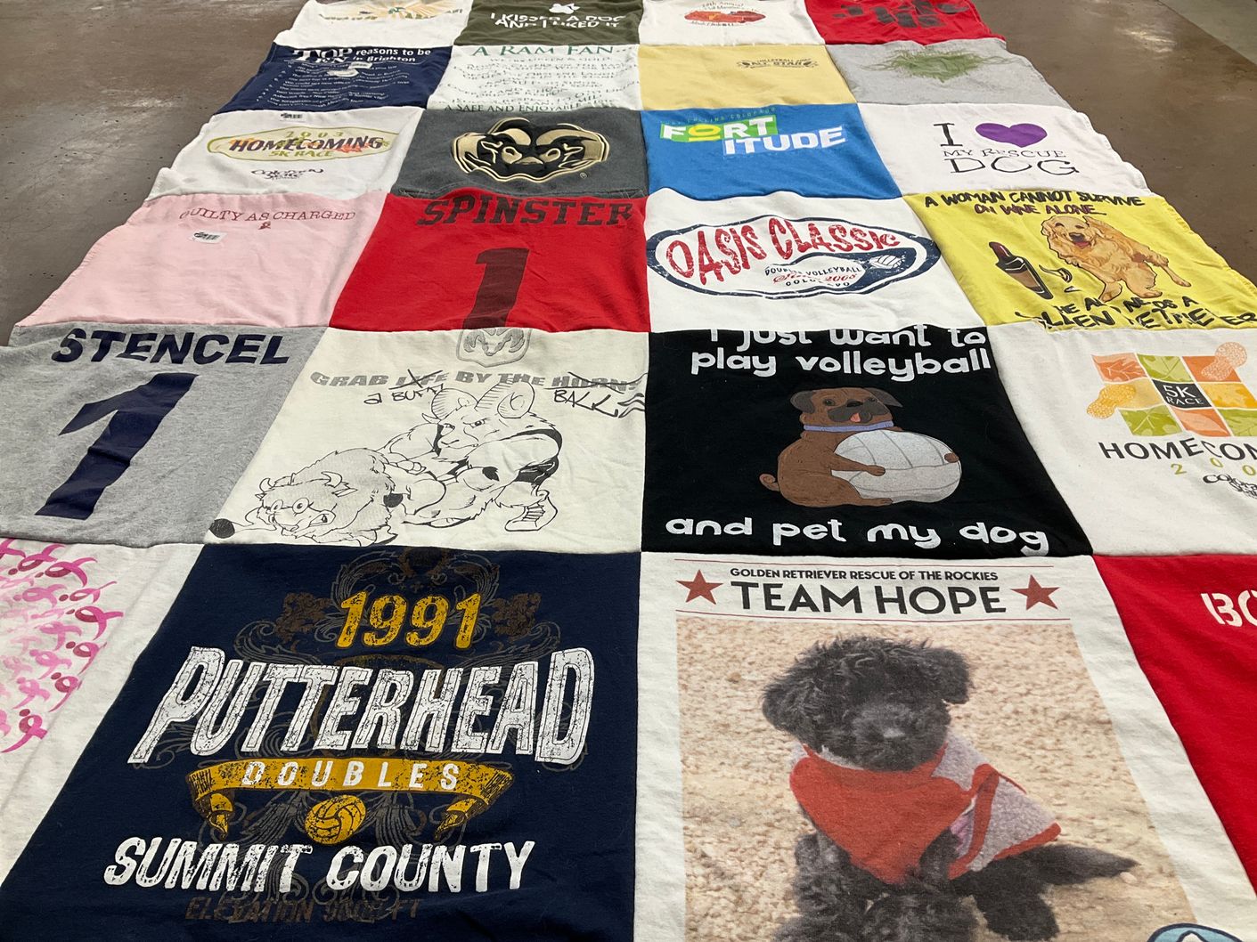 T-shirt quilt with volleyball, dogs themes by Francie from CO