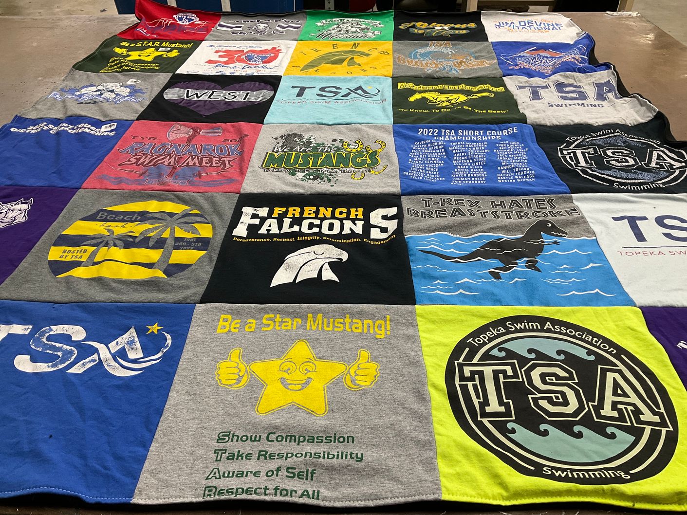 T-shirt quilt featuring mustangs, falcons by Lisa from KS