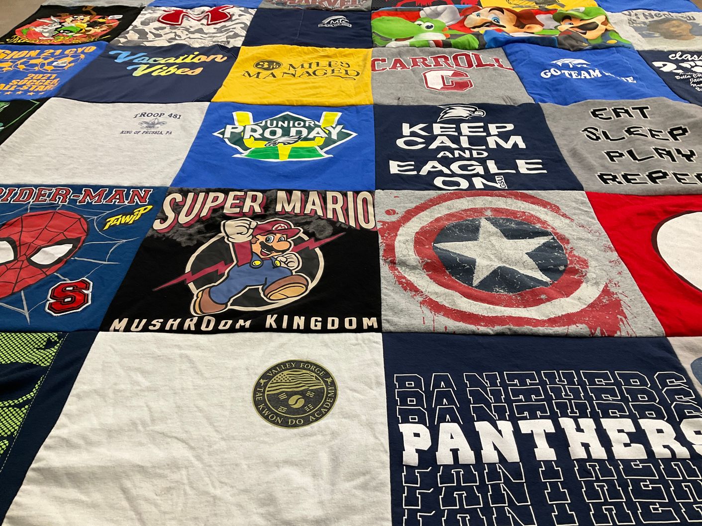 T-shirt quilt featuring panthers by Ingrid from PA