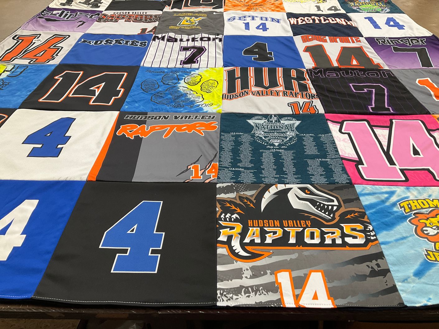 T-shirt quilt featuring hudson valley raptors, huskies by Trish from NY