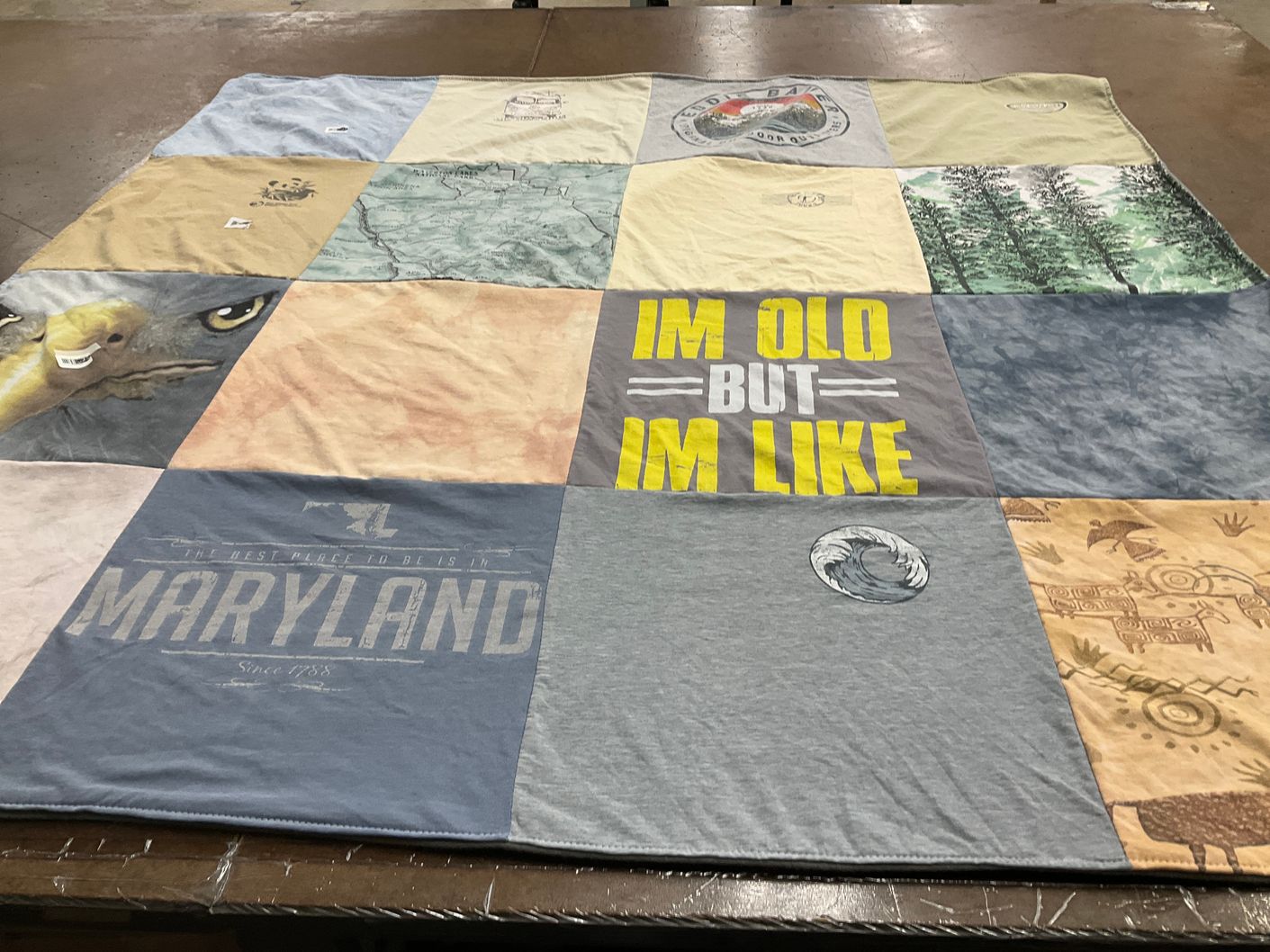 T-shirt quilt by Ina from PA