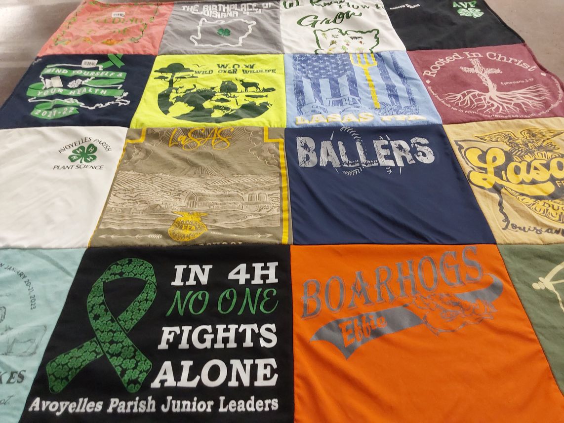 T-shirt quilt with agriculture, community service themes by Kristin from LA