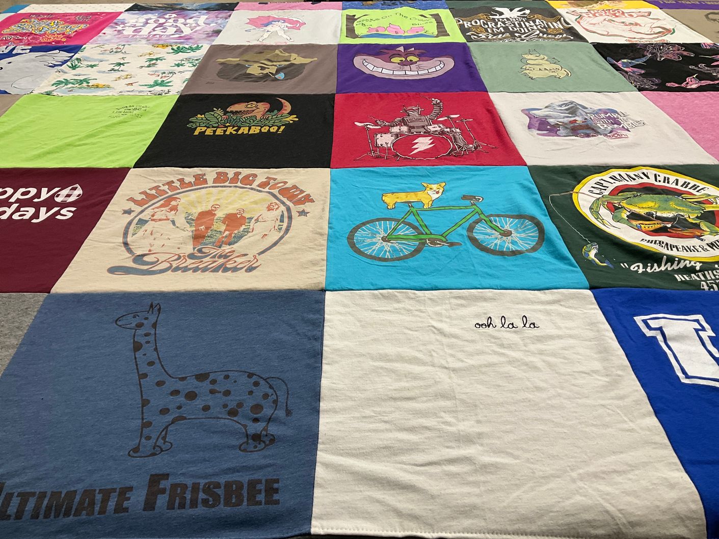 T-shirt quilt with frisbee, fishing themes by Kate from NC