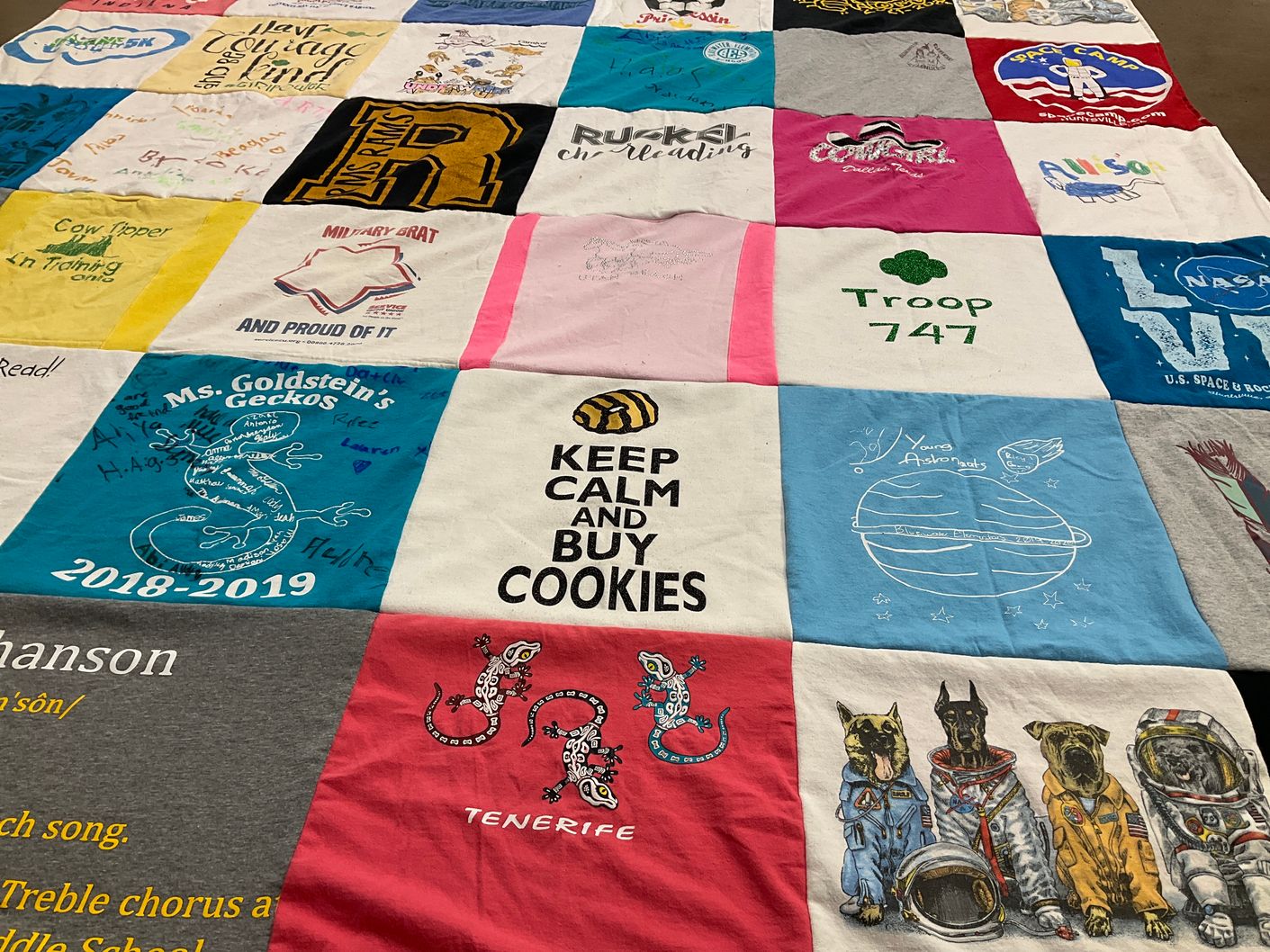 T-shirt quilt from ms. goldstein's geckos by Christina from FL