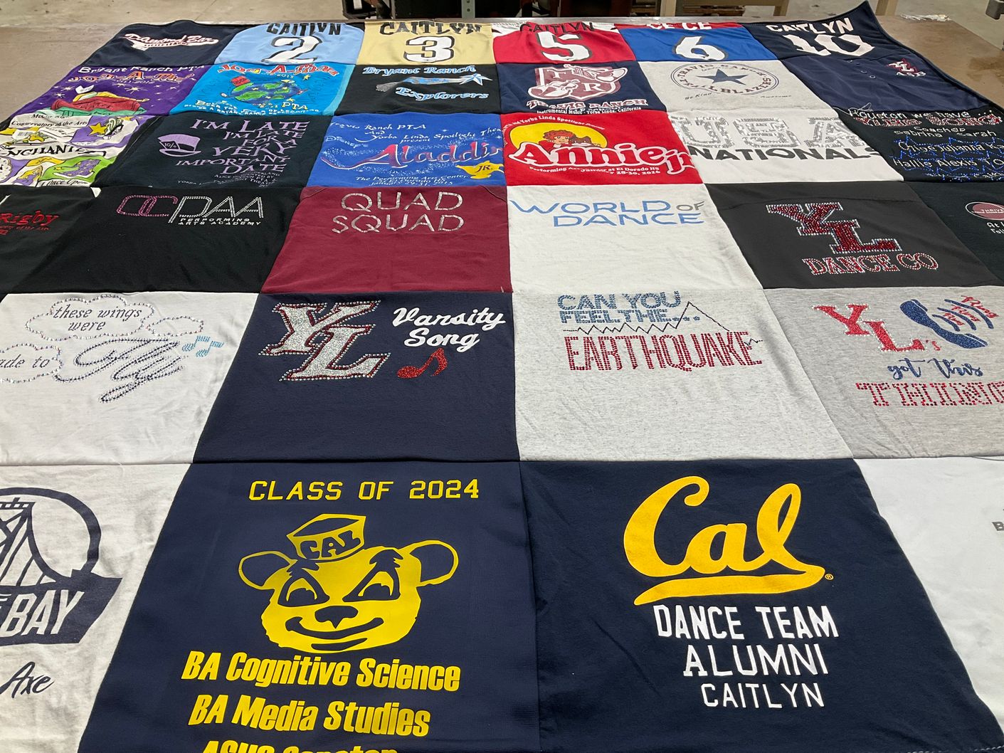 T-shirt quilt from university of california by Lia from CA