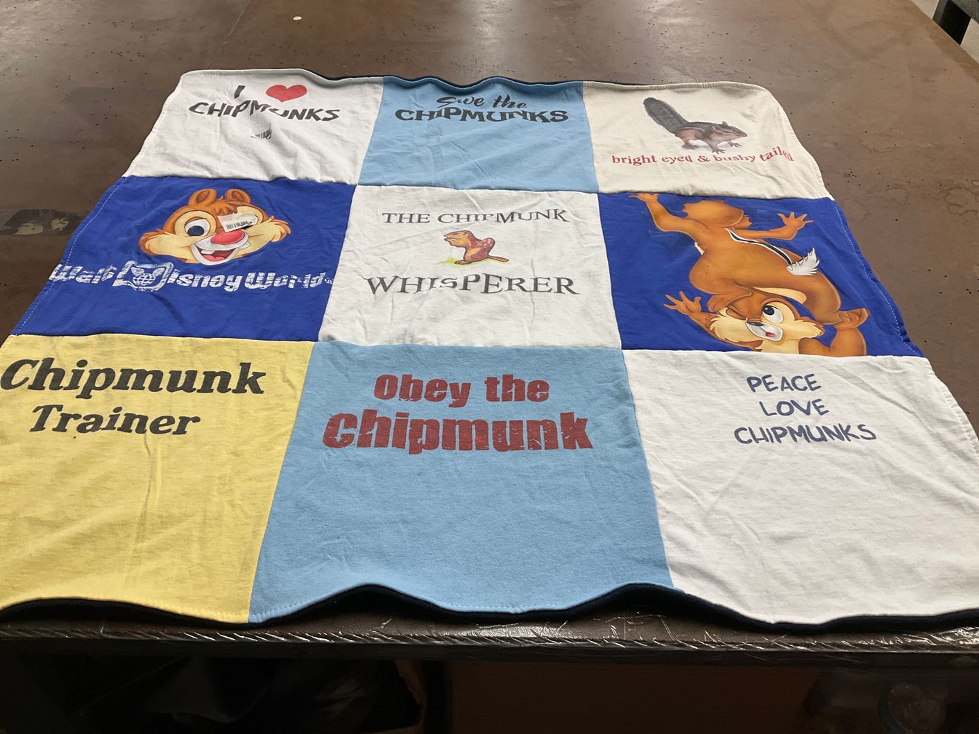 T-shirt quilt with animals, animated characters themes by Eva from KY