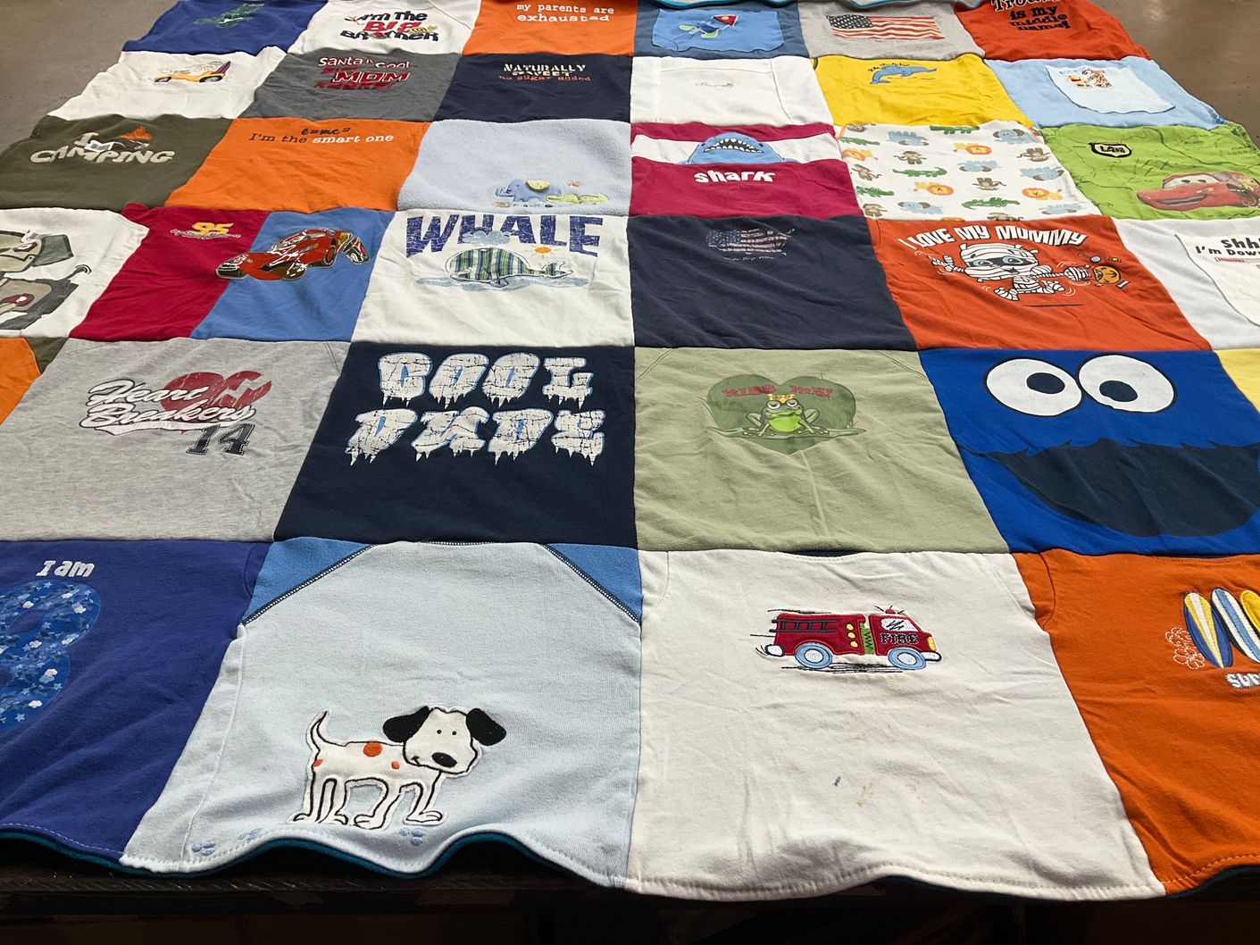 T-shirt quilt with family, animals themes by Nancy from TN