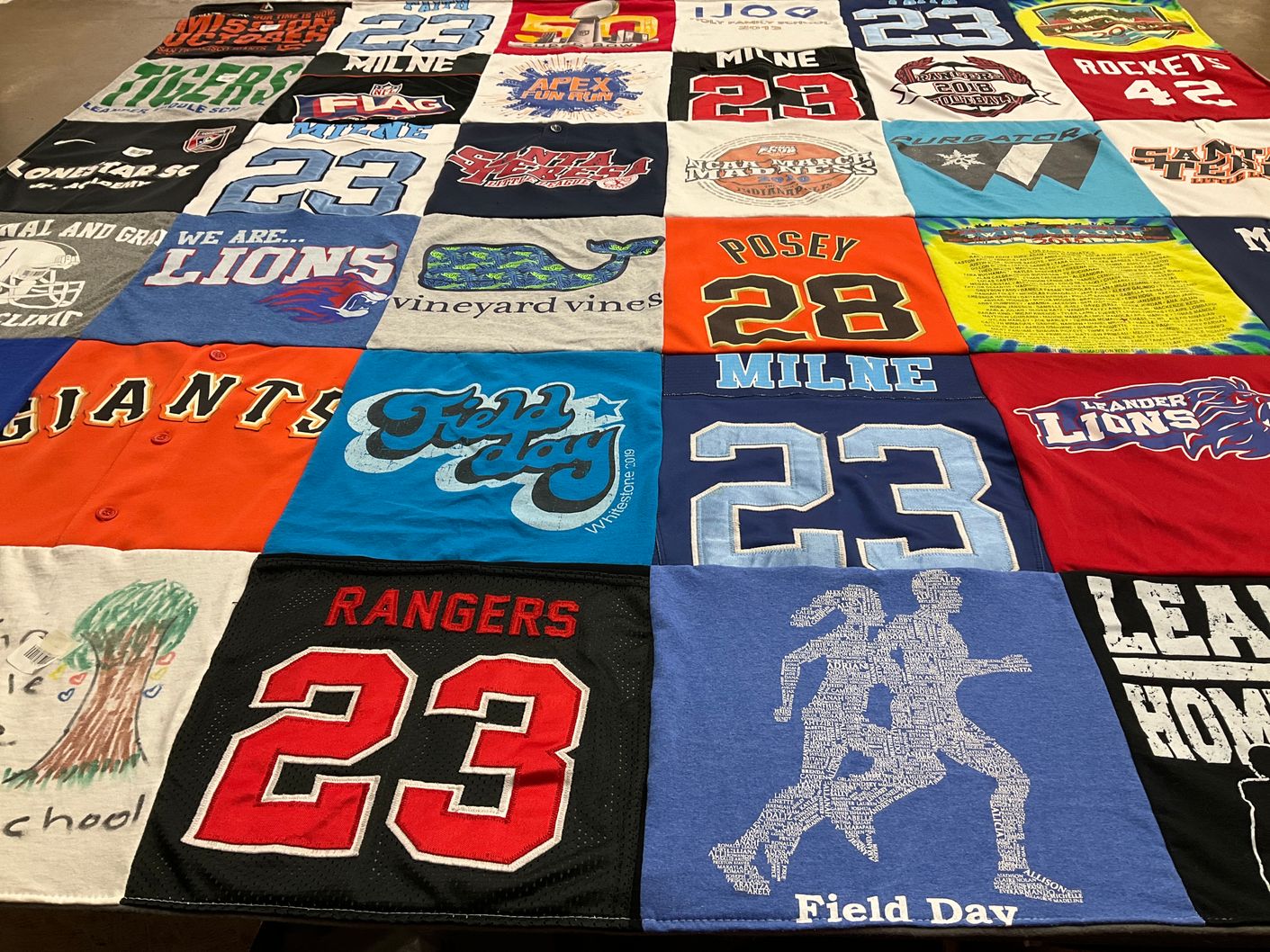 T-shirt quilt featuring lions, giants by Kim from TX