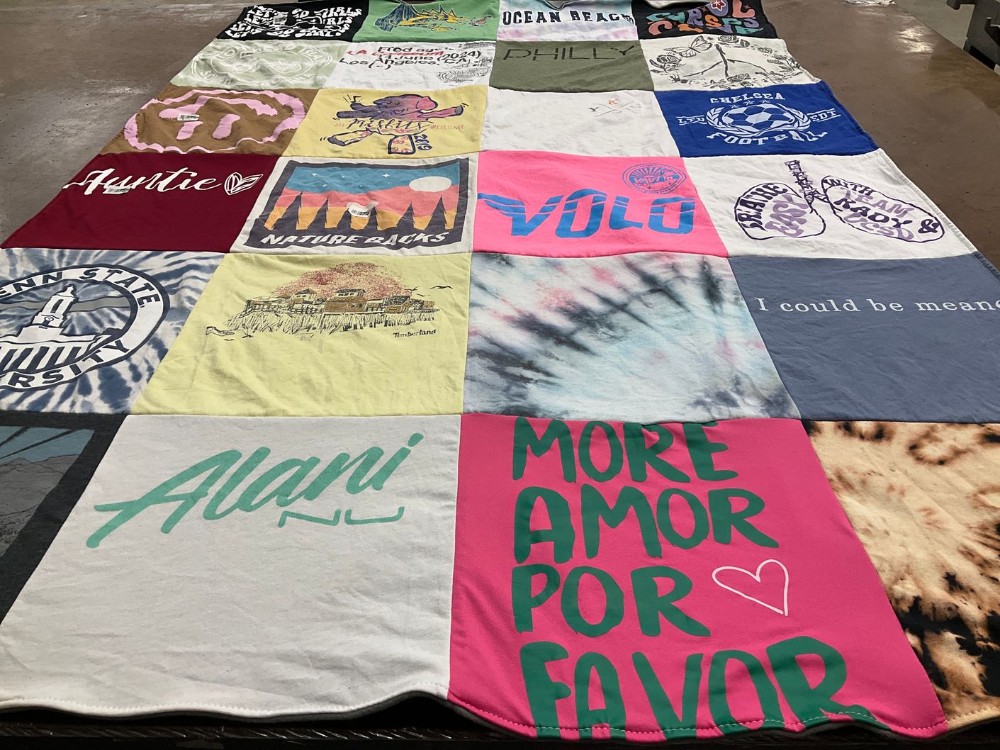 T-shirt quilt from pennsylvania state university by Gina from CA