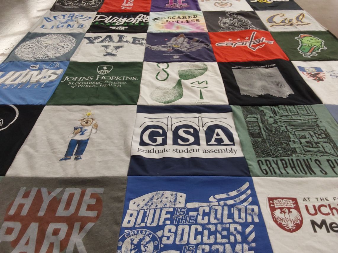 T-shirt quilt featuring detroit lions by Victoria from MI