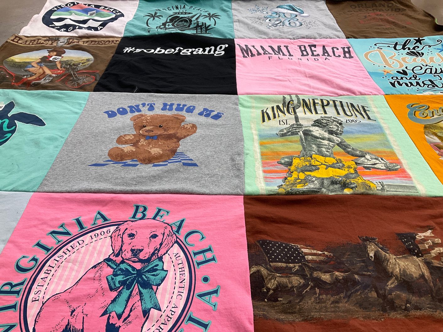 T-shirt quilt with beach, animals themes by Melinda from OH