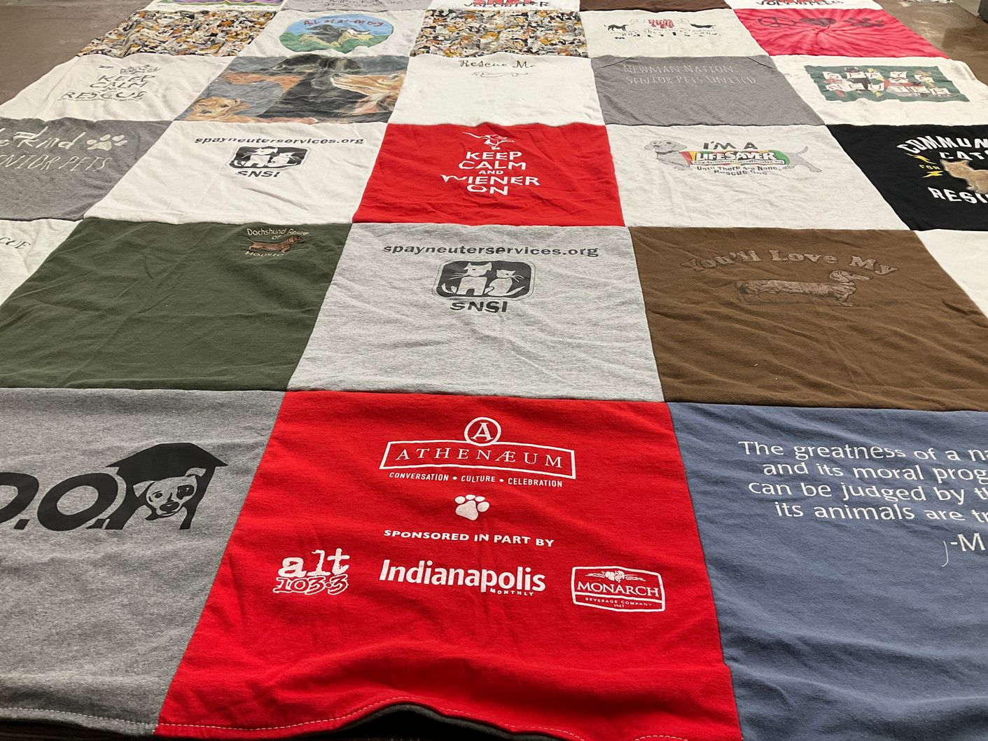 T-shirt quilt with animal rescue, spay and neuter themes by Shelly from IN