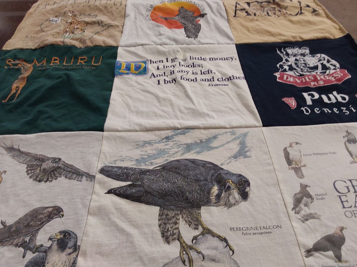 T-shirt quilt with birds, nature themes by Daniel from NY
