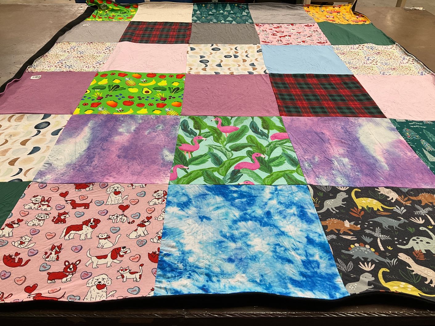 T-shirt quilt with animals, dinosaurs themes by Lindsay from NC