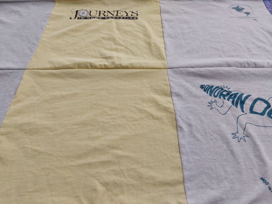 T-shirt quilt by Eileen from TX