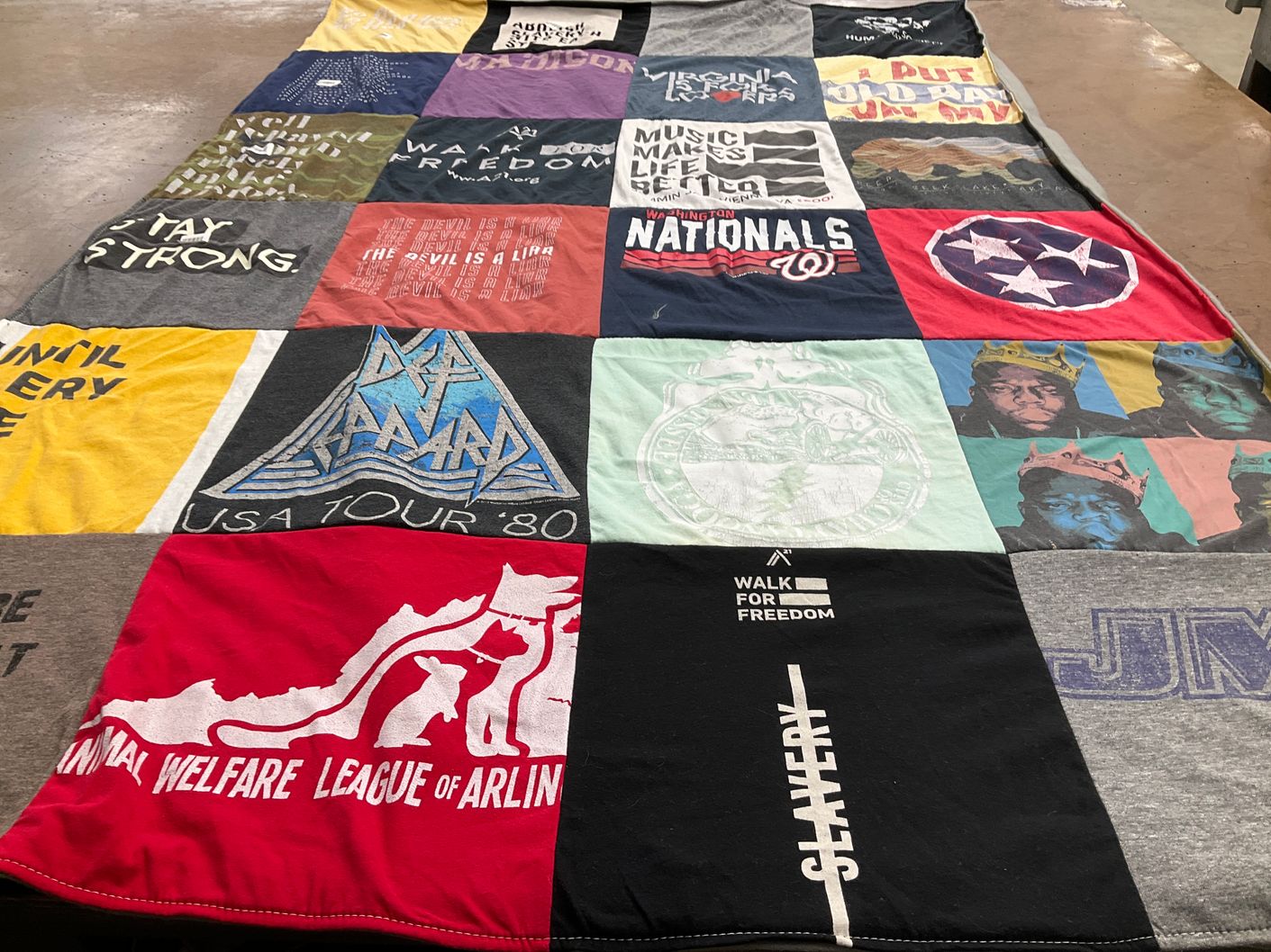 T-shirt quilt with animal welfare, freedom movements themes by April from TN