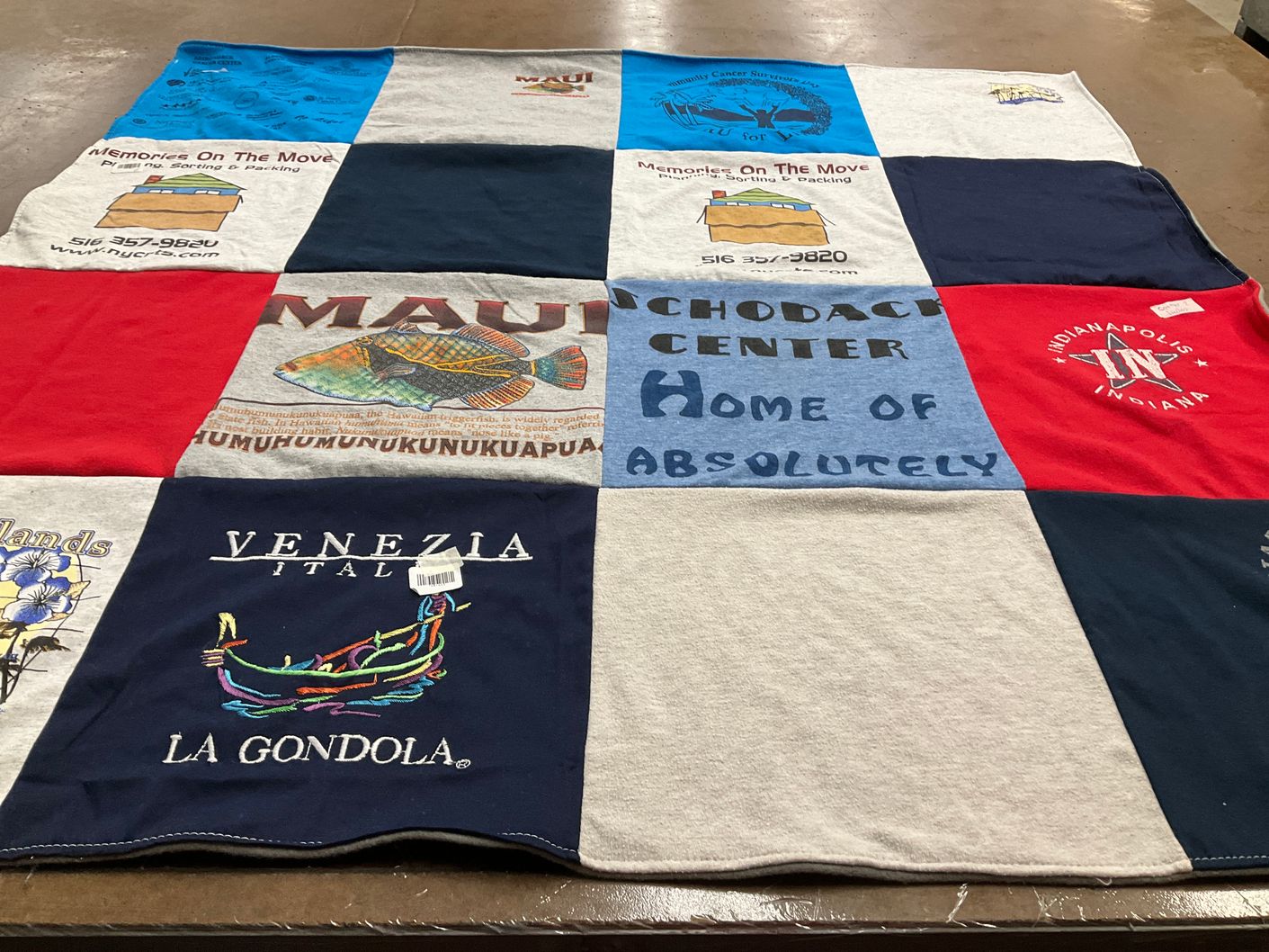 T-shirt quilt with travel, cuisine themes by Dee from NY
