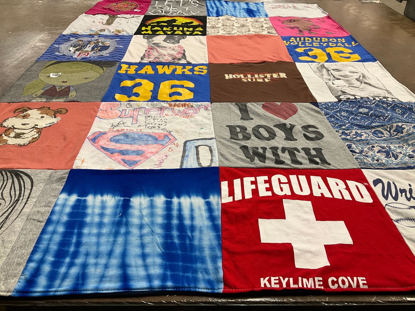 T-shirt quilt featuring hawks by Gin from AZ