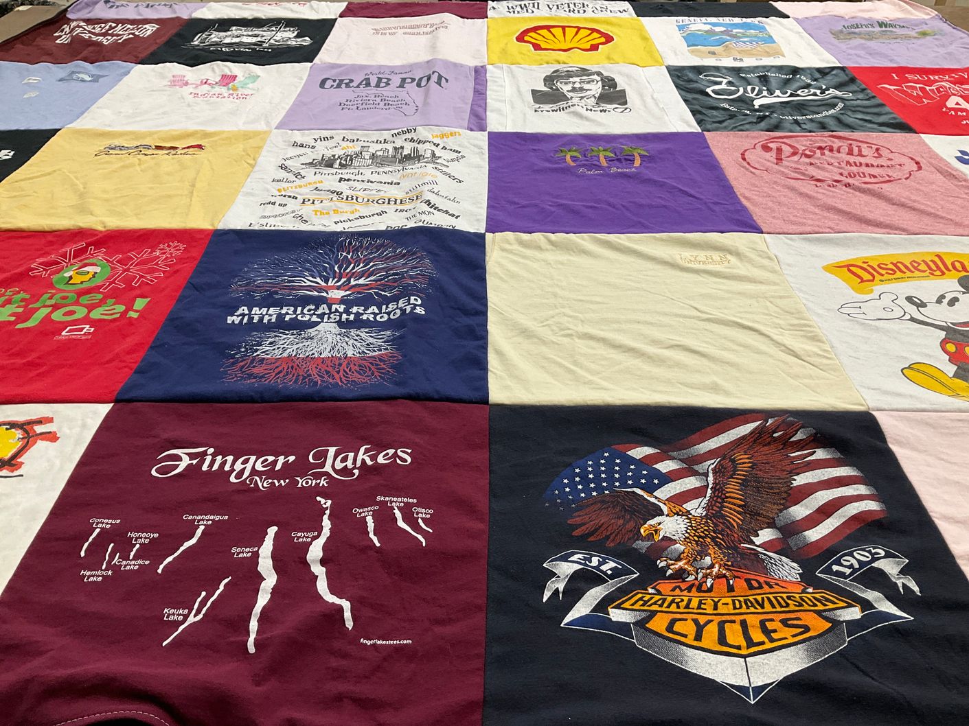 T-shirt quilt with travel, food themes by Marcia from PA