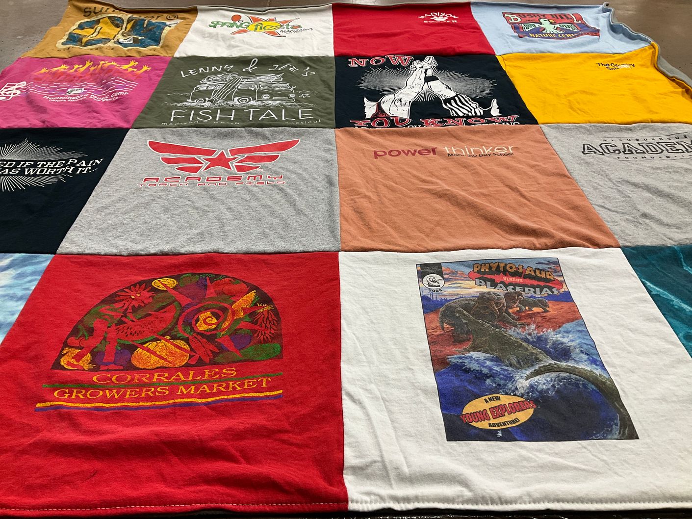 T-shirt quilt from academy by Allison from NM