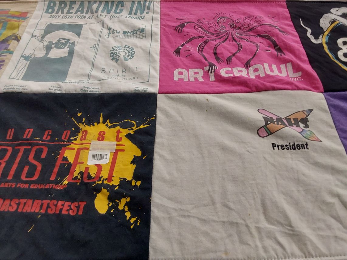 T-shirt quilt from matls by Casey from FL