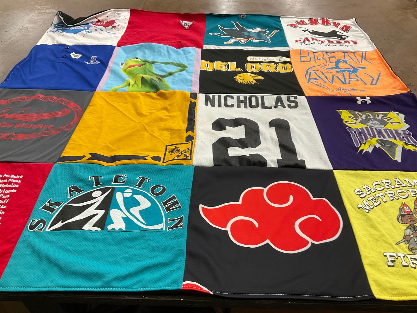 T-shirt quilt featuring panthers, capital thunder by Maree from CA