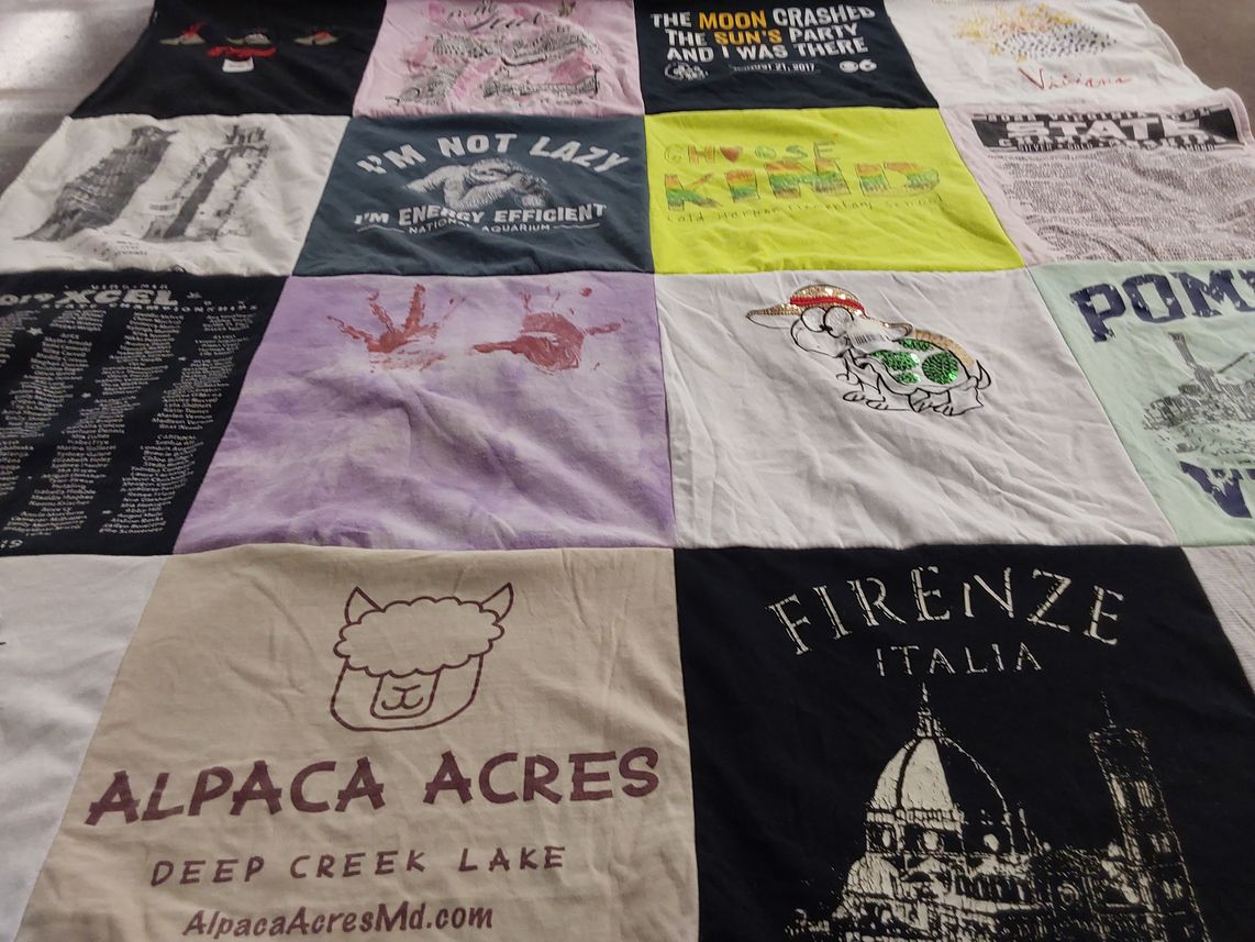 T-shirt quilt with travel, energy efficiency themes by Daniela from VA