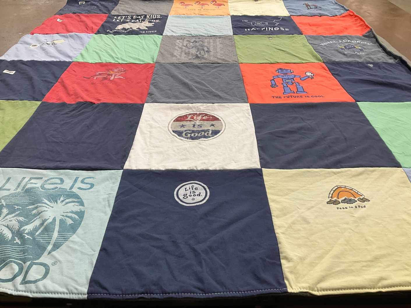 T-shirt quilt with humor, life themes by Bridget from TN