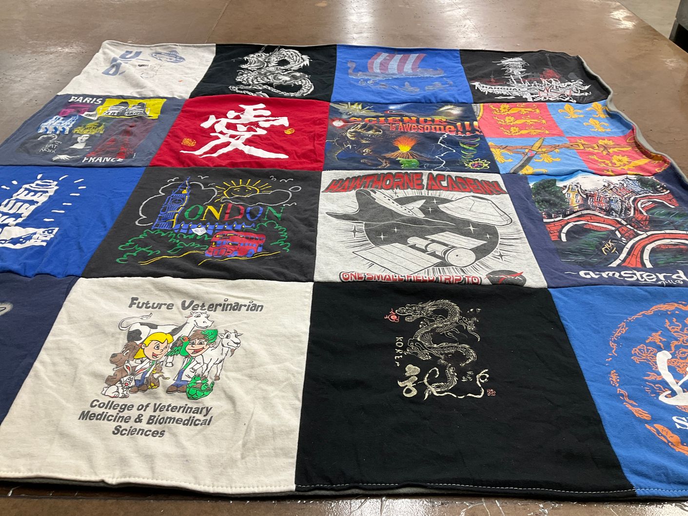 T-shirt quilt from hawthorne academy, college of veterinary medicine and biomedical sciences by Laura from TX