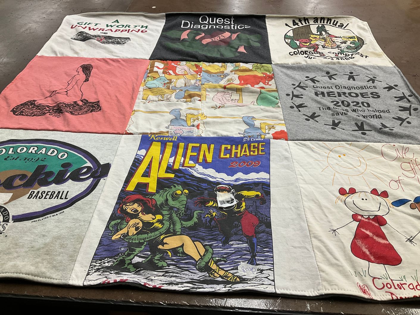 T-shirt quilt with art, science themes by Ann from WY