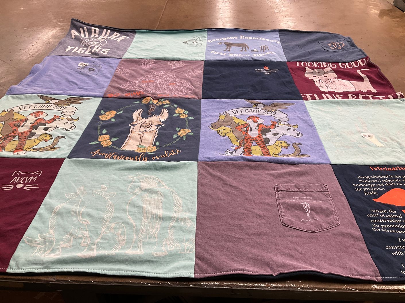 T-shirt quilt from auburn university by Caitlin from IN