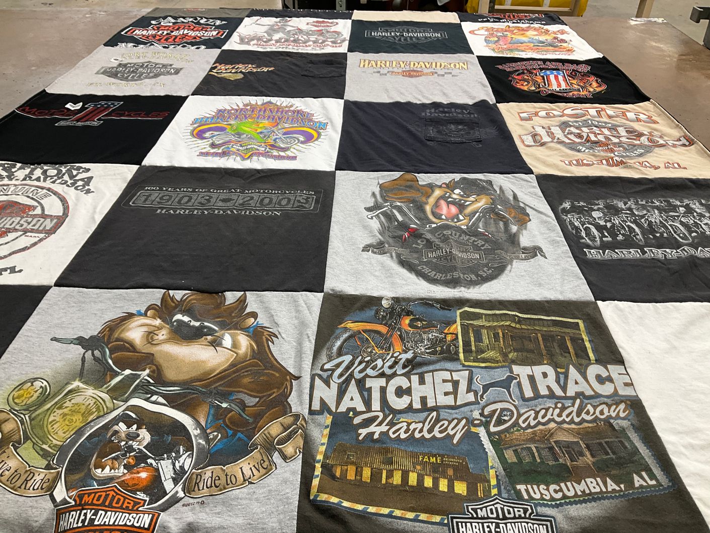 T-shirt quilt with motorcycles, biking themes by Kimberly from AL