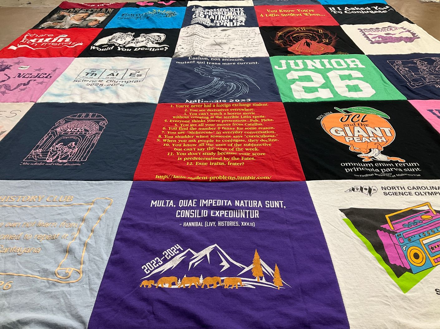 T-shirt quilt with latin, history themes by Lauren from NC