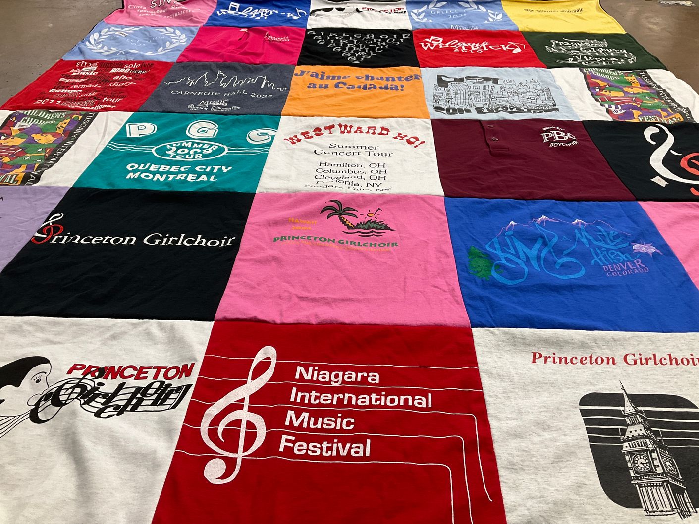 T-shirt quilt from princeton university by Noreen from NJ
