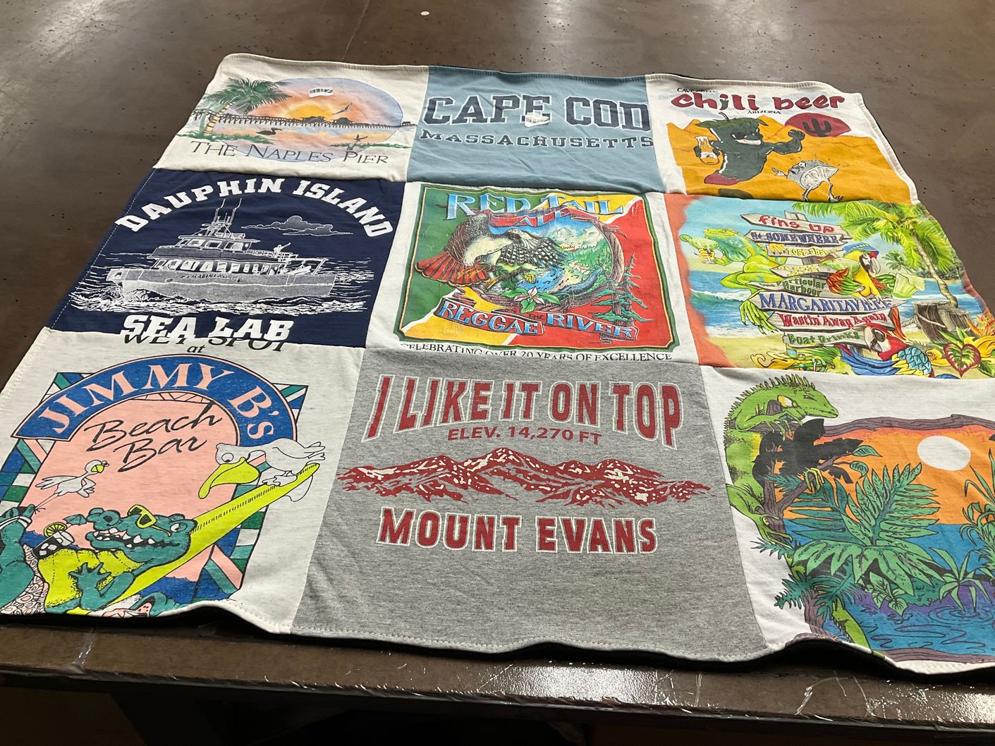 T-shirt quilt with beaches, marine life themes by Haley from AZ