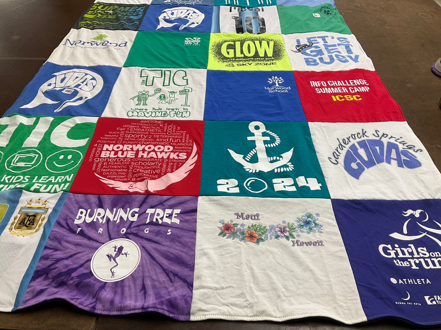 T-shirt quilt featuring norwood blue hawks, burning tree frogs by Laura from MD