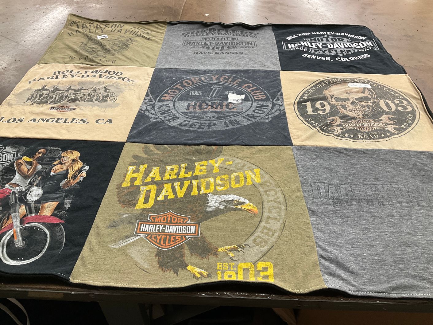 T-shirt quilt with motorcycles, biking themes by Tia from GA