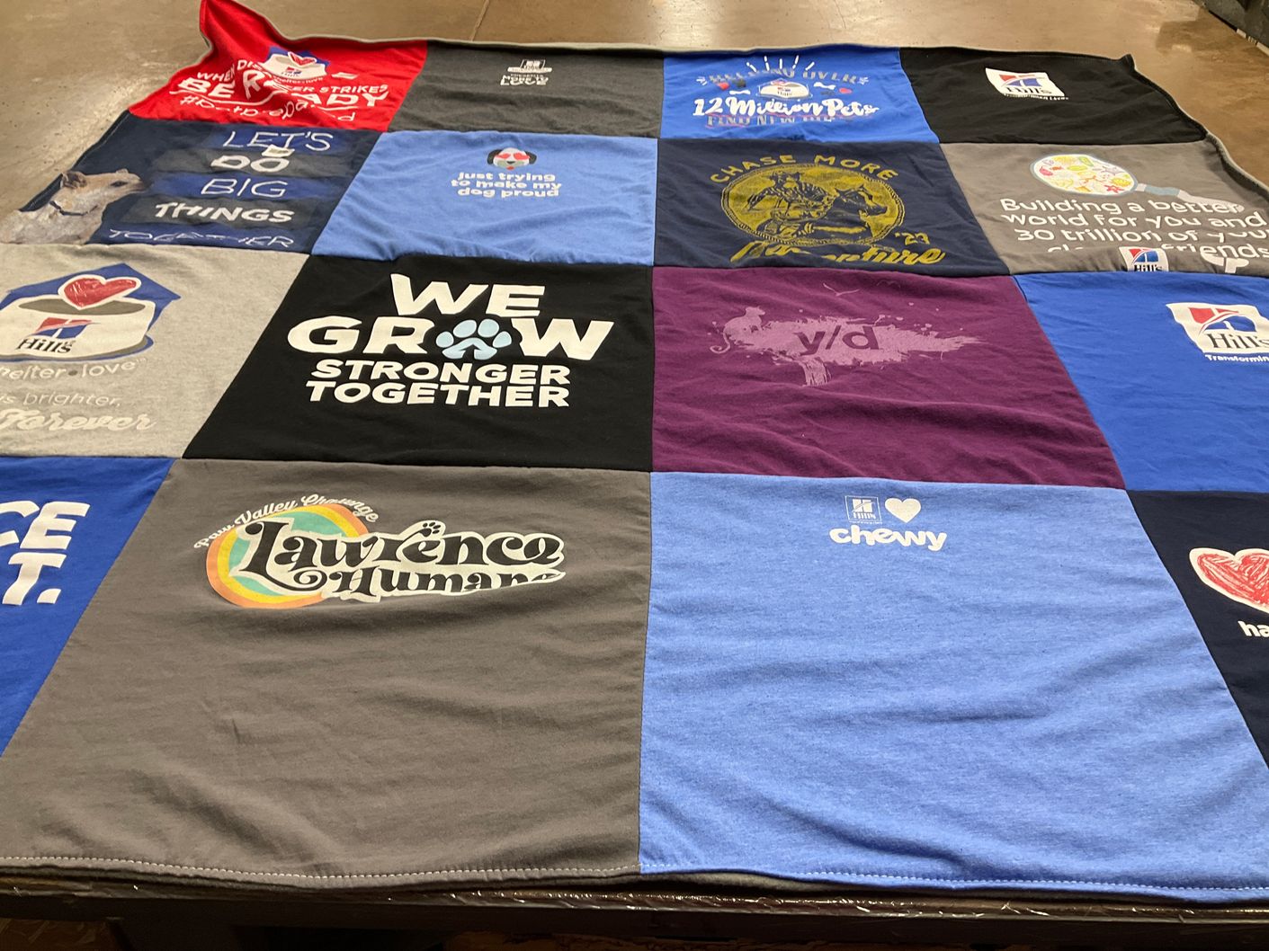 T-shirt quilt with animal welfare, pet adoption themes by Megan from KS