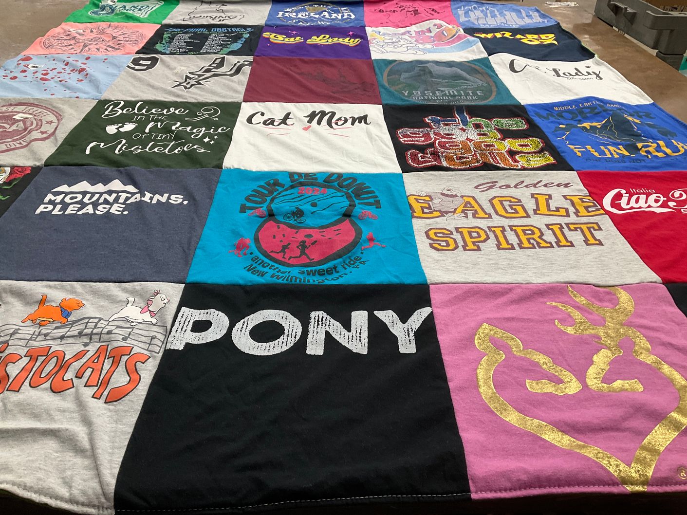 T-shirt quilt with pets, outdoor activities themes by Alaina from PA