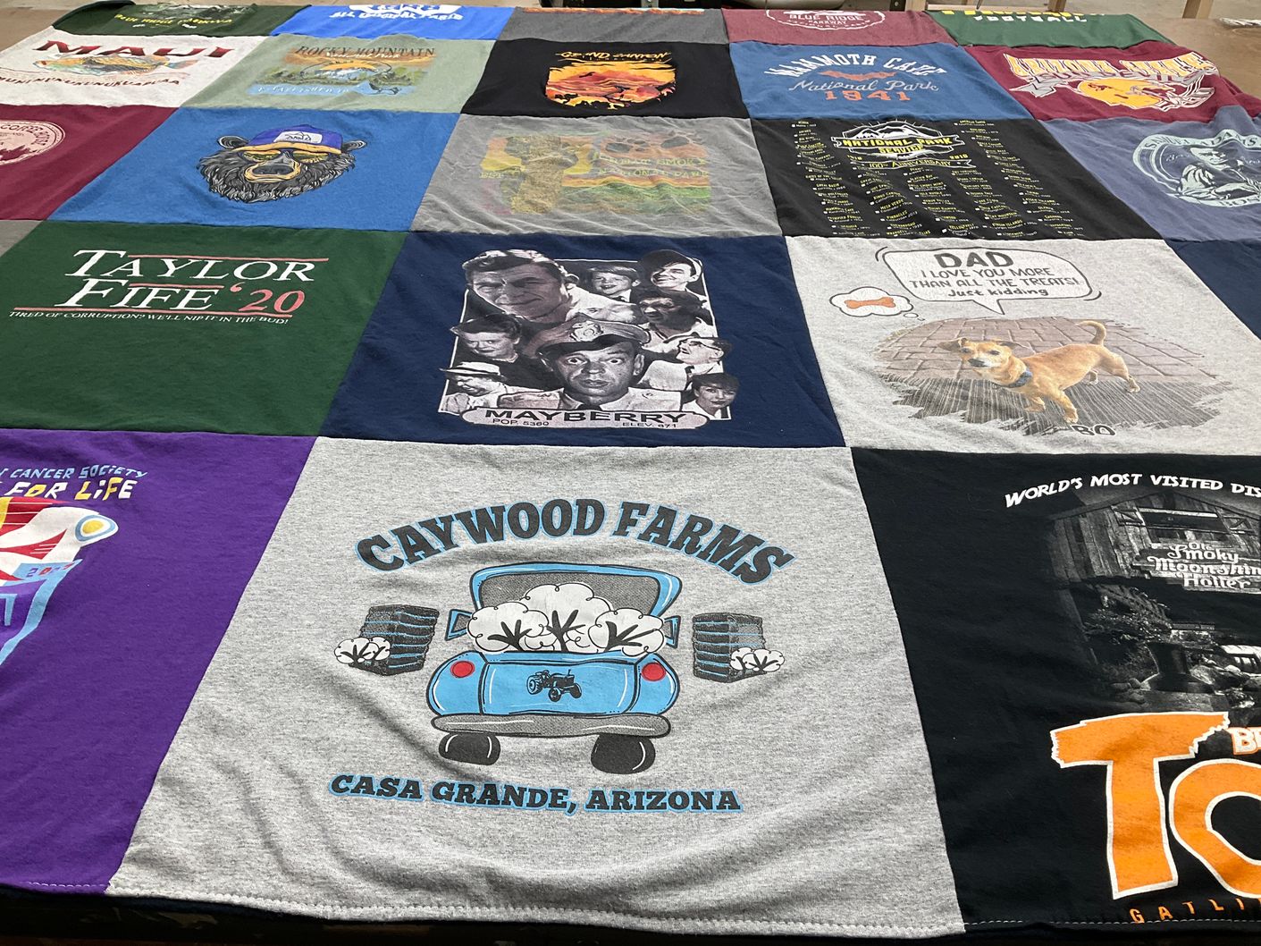 T-shirt quilt with travel, nature themes by Lisa from AZ