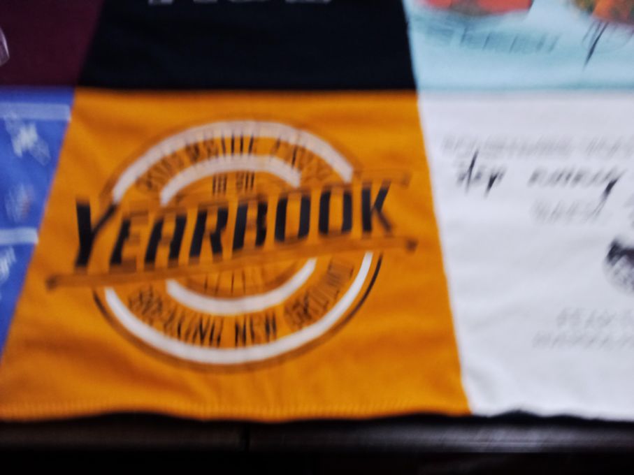 T-shirt quilt by Linda from CA