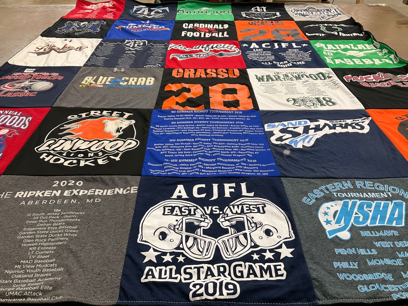 T-shirt quilt featuring linwood lions, sand sharks by Samantha from NJ