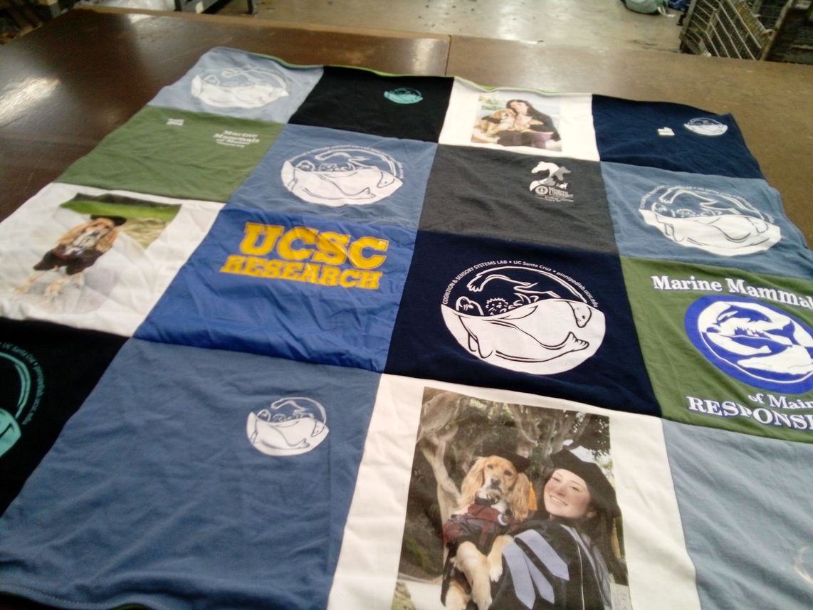 T-shirt quilt from university of california, santa cruz by stacy from OH